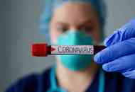 Cina, Coronavirus conferma: il nuovo focolaio proviene dal salmone europeo Cina, Coronavirus conferma: il nuovo focolaio proviene dal salmone europeo